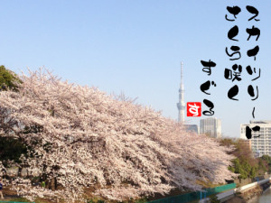 週記開始　スカイツリーと桜　東京墨田区暮らし記　2013/3/17-3/23